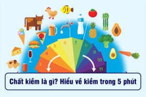 Kiềm ở ngưỡng 7.365 được coi là ở trạng thái cân bằng giúp cơ thể khỏe mạnh